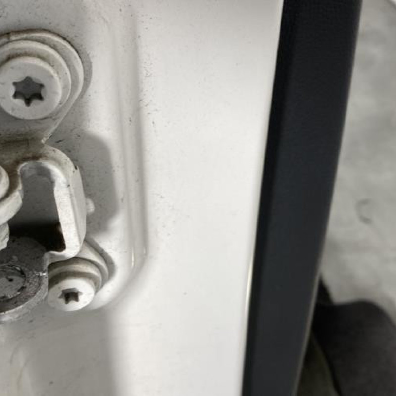 Porte arriere droit SKODA FABIA 2 Photo n°4