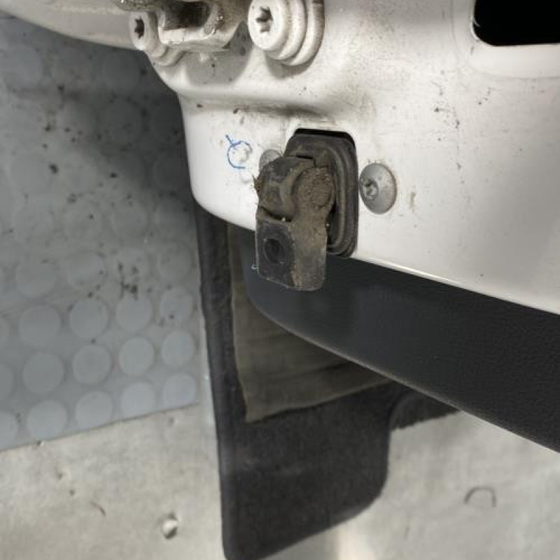 Porte arriere droit SKODA FABIA 2 Photo n°5