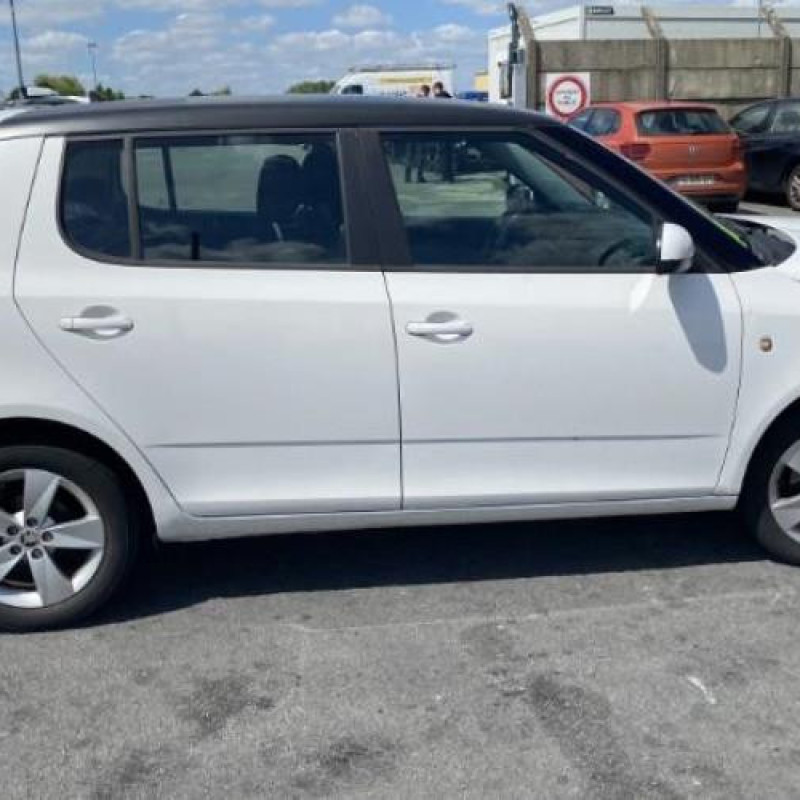 Porte arriere droit SKODA FABIA 2 Photo n°15