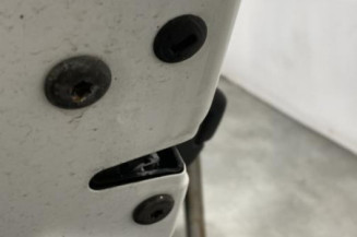 Porte arriere gauche SKODA FABIA 2