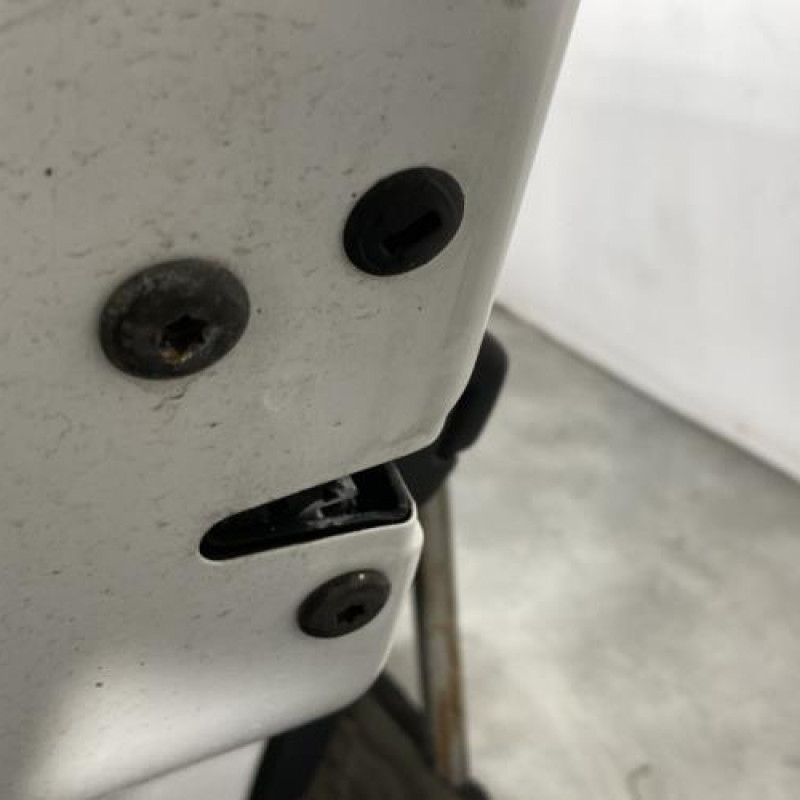 Porte arriere gauche SKODA FABIA 2 Photo n°4