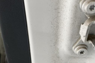 Porte arriere gauche SKODA FABIA 2