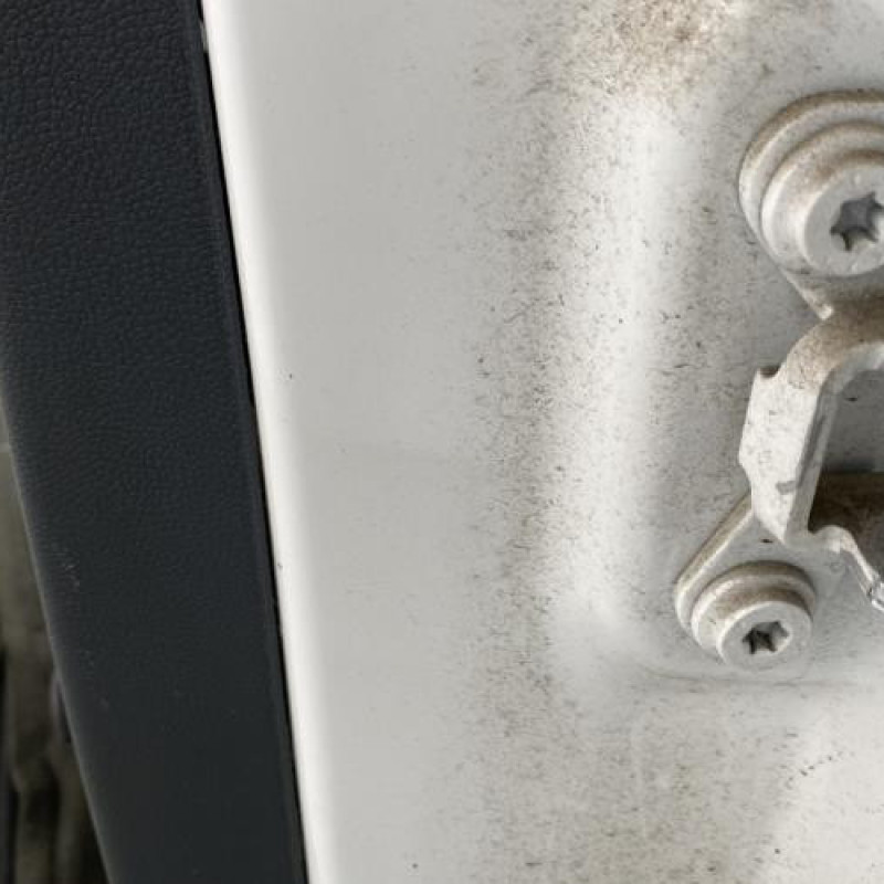 Porte arriere gauche SKODA FABIA 2 Photo n°5