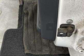 Porte arriere gauche SKODA FABIA 2
