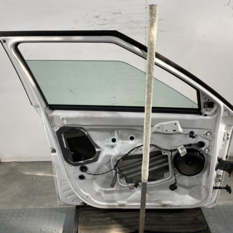 Porte avant gauche SKODA FABIA 2 Photo n°4