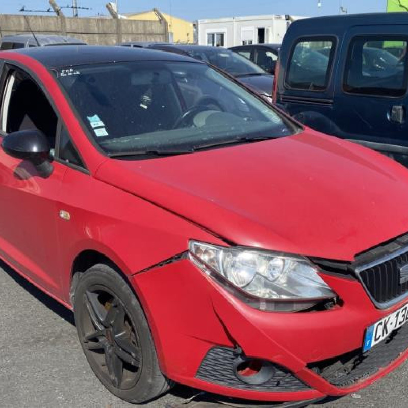 Porte avant gauche SEAT IBIZA 4 Photo n°9