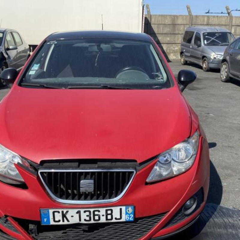 Porte avant gauche SEAT IBIZA 4 Photo n°15