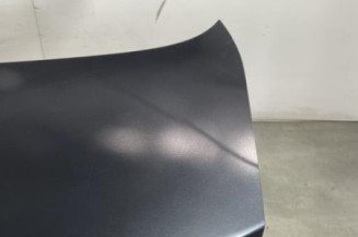 Malle/Hayon arriere RENAULT FLUENCE
