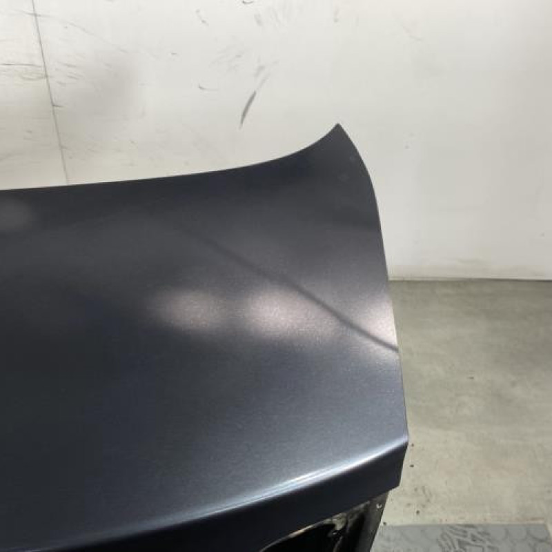 Malle/Hayon arriere RENAULT FLUENCE Photo n°3