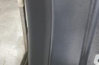 Porte arriere gauche RENAULT FLUENCE