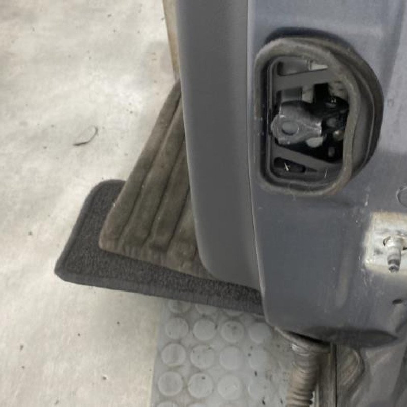 Porte arriere gauche RENAULT FLUENCE Photo n°6