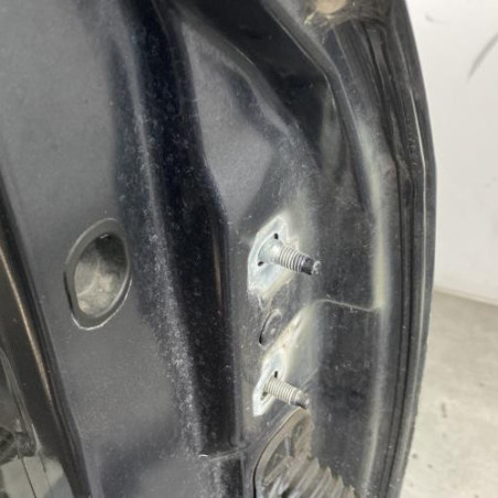 Porte avant gauche RENAULT FLUENCE