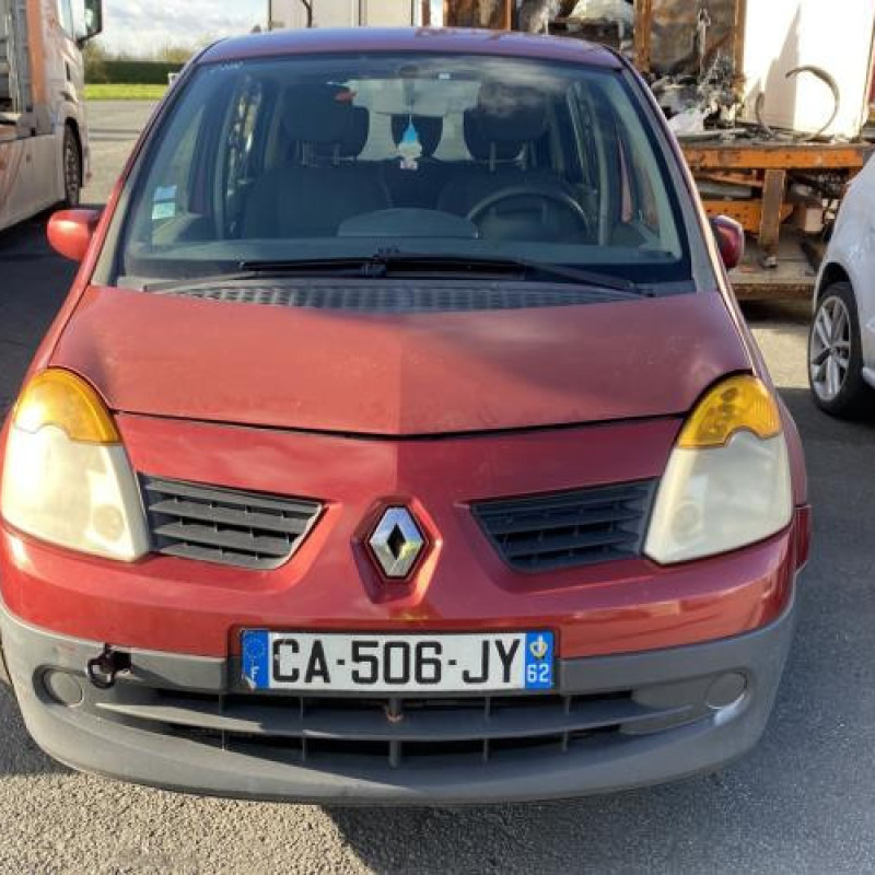 Porte avant droit RENAULT MODUS Photo n°14