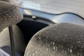 Porte avant droit RENAULT MODUS