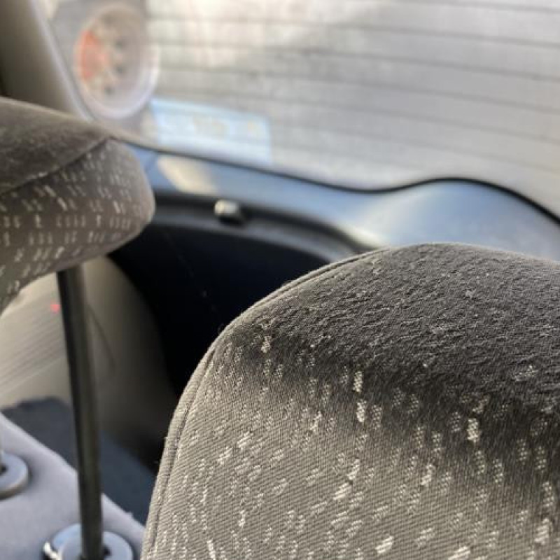 Porte avant droit RENAULT MODUS Photo n°18
