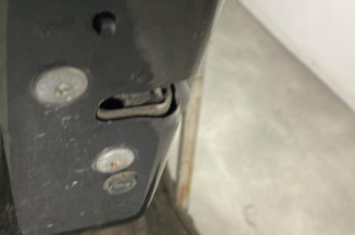 Porte arriere gauche CITROEN C3 2