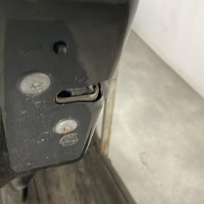 Porte arriere gauche CITROEN C3 2 Photo n°3
