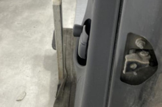 Porte arriere gauche CITROEN C3 2