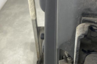 Porte arriere gauche CITROEN C3 2