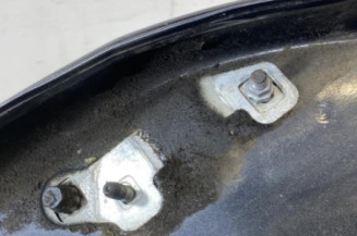 Porte arriere droit RENAULT CLIO 3