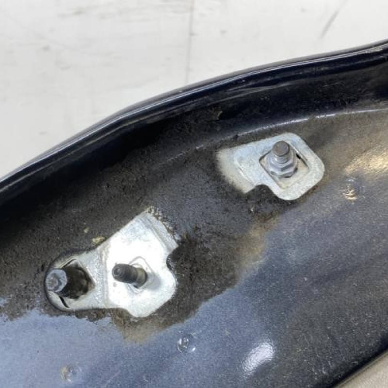 Porte arriere droit RENAULT CLIO 3 Photo n°3