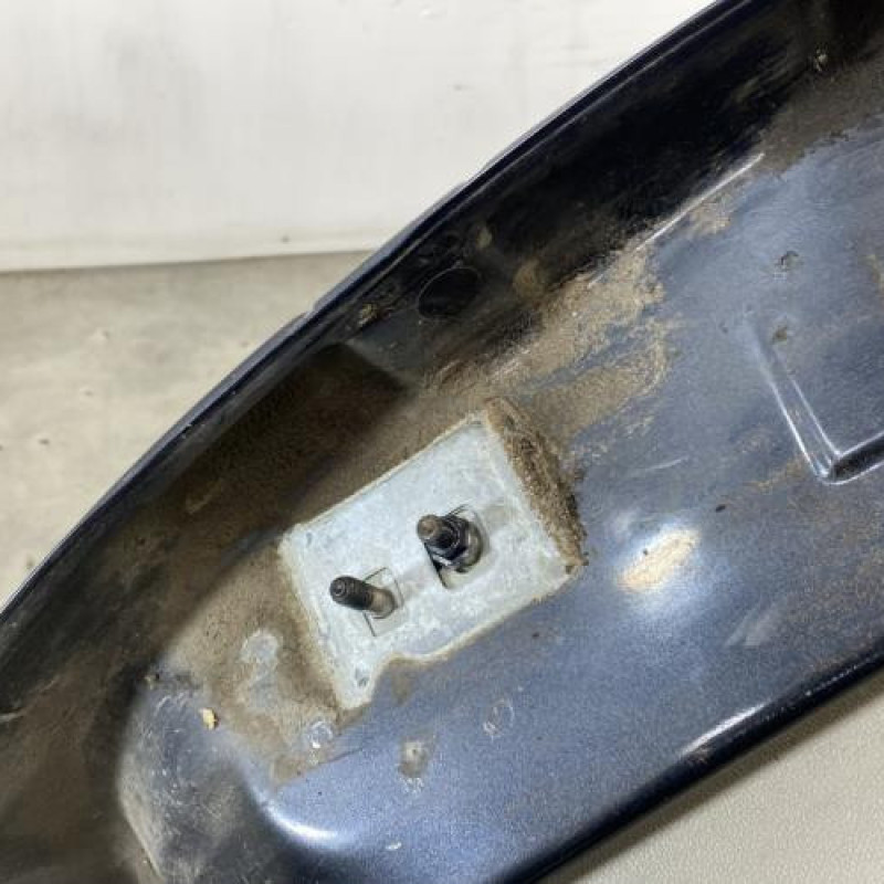Porte arriere droit RENAULT CLIO 3 Photo n°4