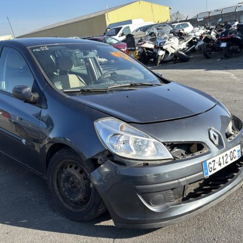 Porte arriere droit RENAULT CLIO 3 Photo n°7