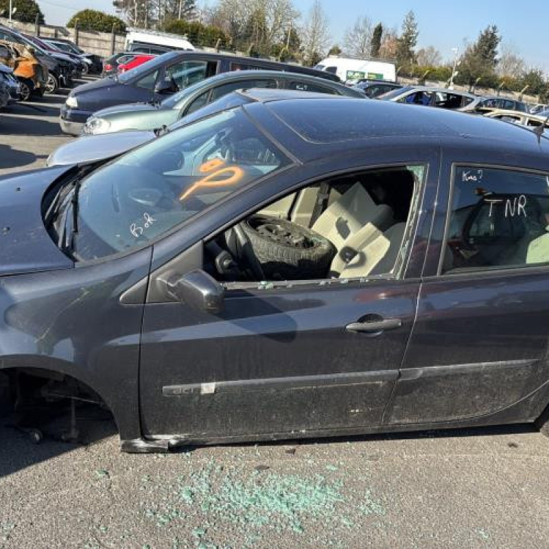 Porte arriere droit RENAULT CLIO 3 Photo n°12