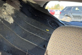 Porte arriere droit RENAULT CLIO 3