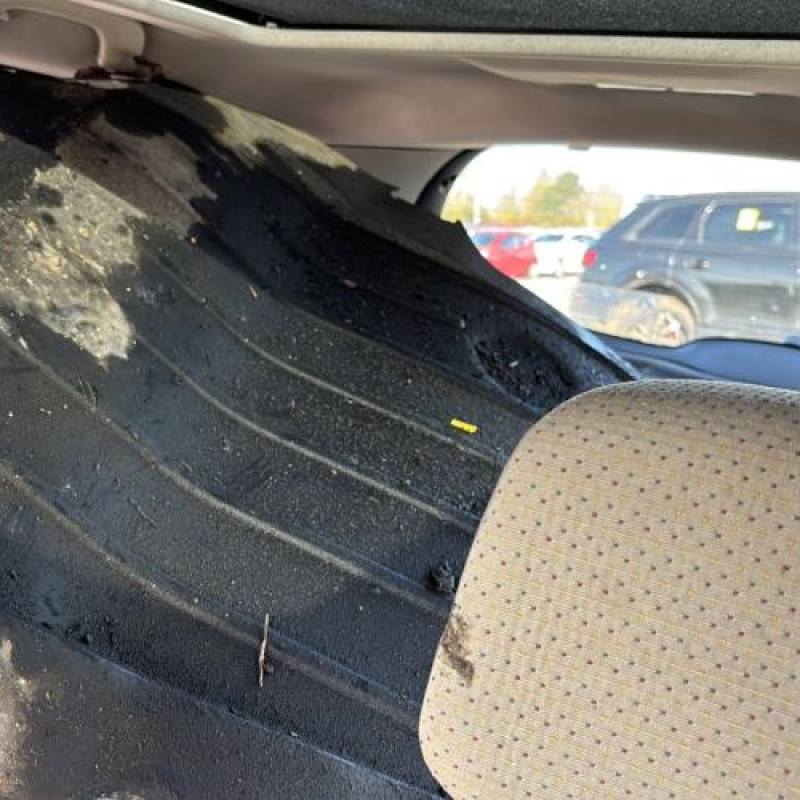 Porte arriere droit RENAULT CLIO 3 Photo n°15