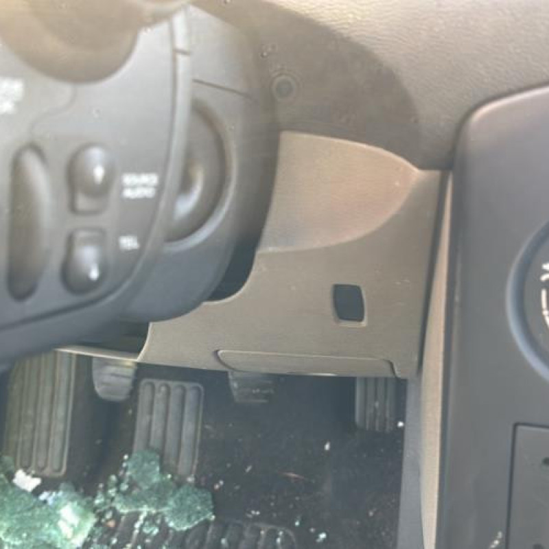 Porte arriere droit RENAULT CLIO 3 Photo n°20