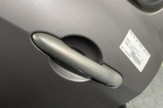 Porte arriere gauche RENAULT CLIO 3