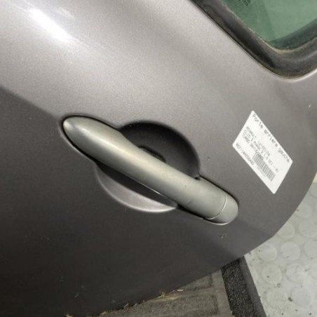 Porte arriere gauche RENAULT CLIO 3