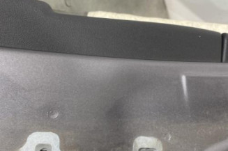Porte arriere gauche RENAULT CLIO 3