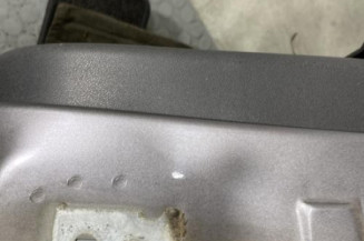 Porte arriere gauche RENAULT CLIO 3