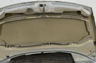 Capot CITROEN C3 1