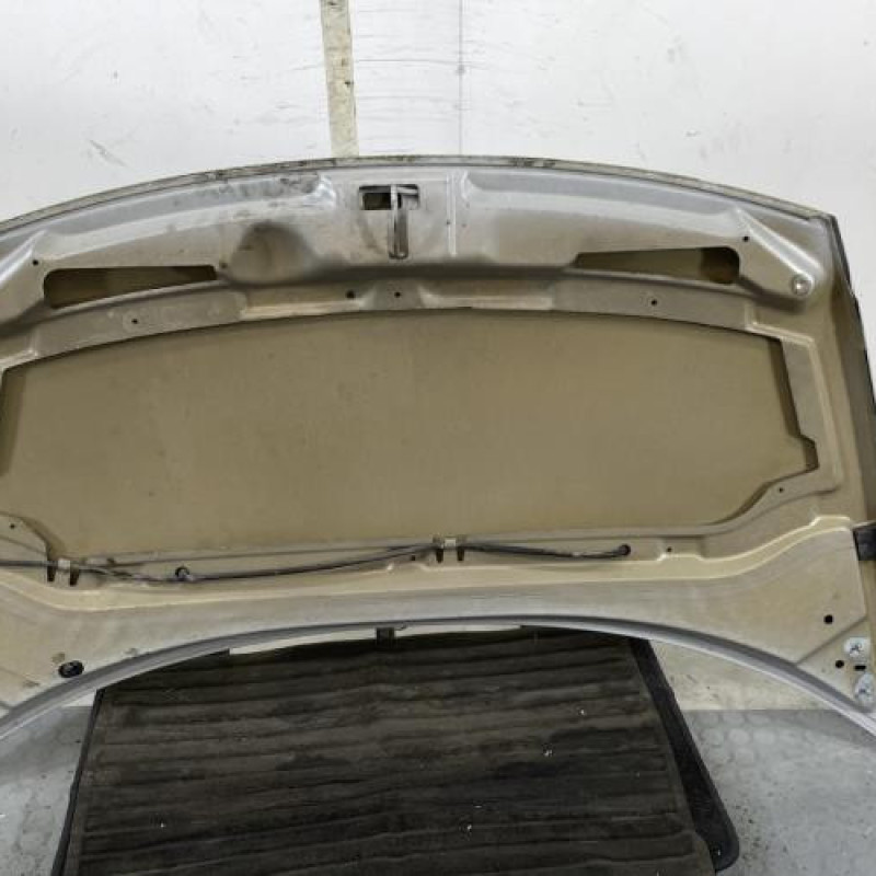 Capot CITROEN C3 1 Photo n°9