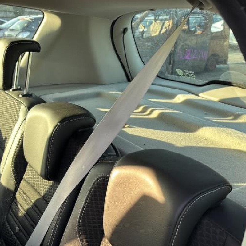 Feu arriere principal droit (feux) RENAULT SCENIC 3 Photo n°17
