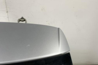 Malle/Hayon arriere VOLKSWAGEN POLO 5
