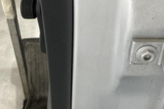 Porte arriere gauche VOLKSWAGEN POLO 5