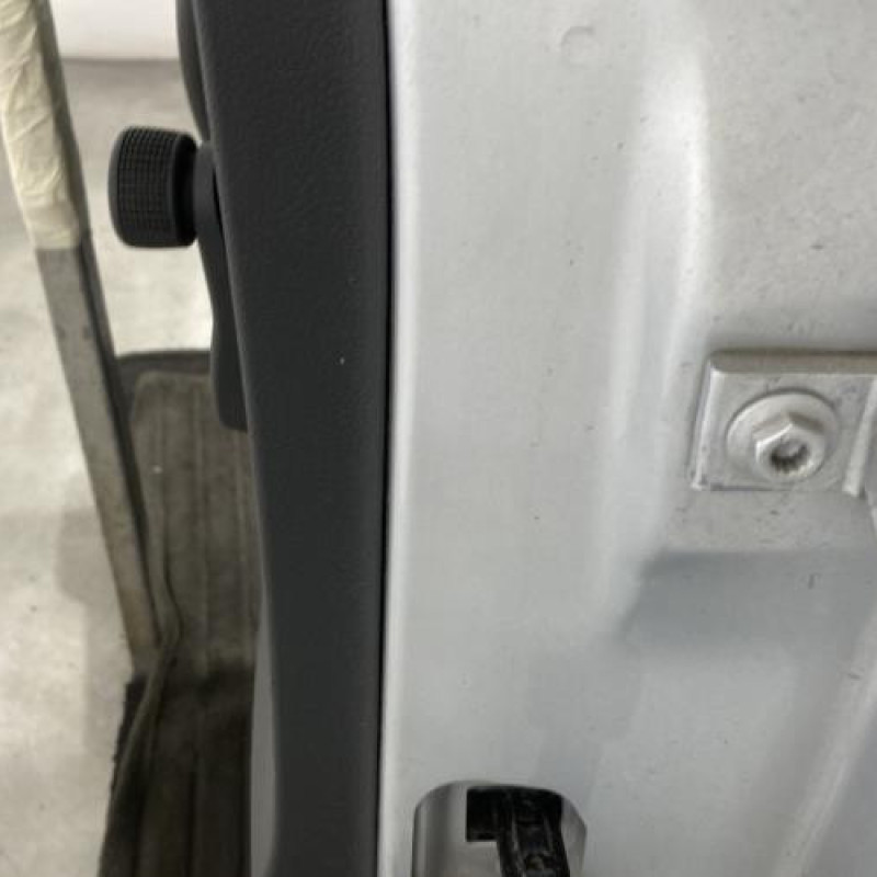Porte arriere gauche VOLKSWAGEN POLO 5 Photo n°5