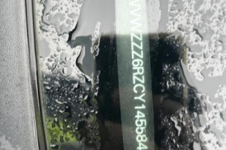 Porte arriere gauche VOLKSWAGEN POLO 5