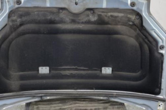Capot CITROEN BERLINGO 1