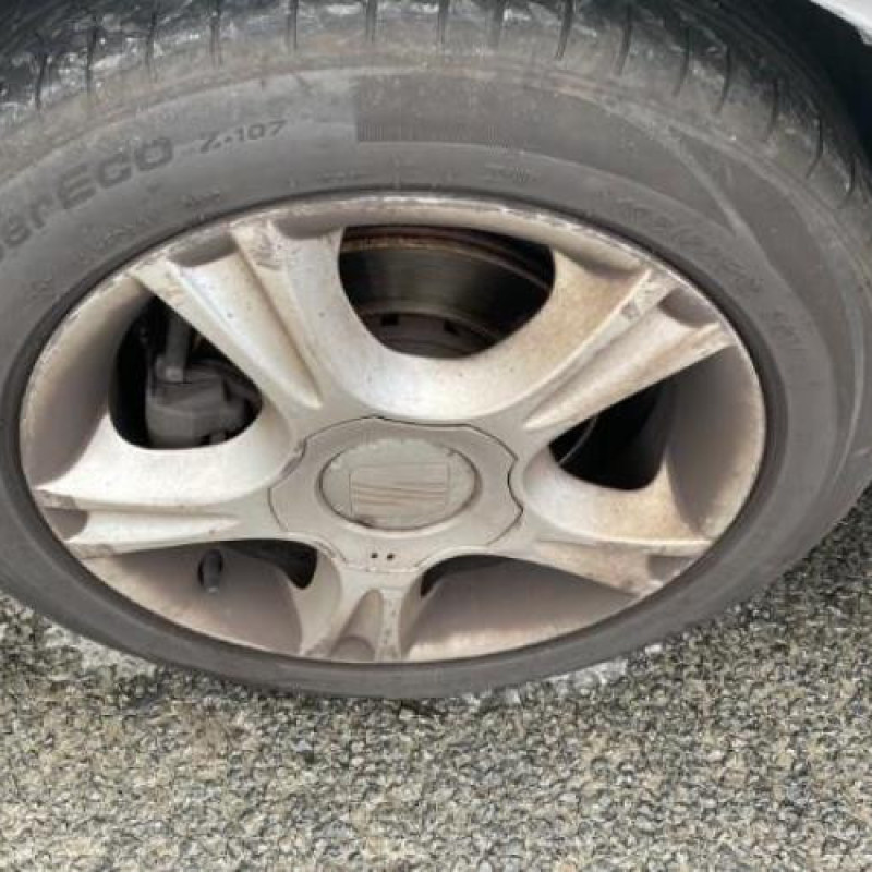 Porte avant droit SEAT IBIZA 3 Photo n°16