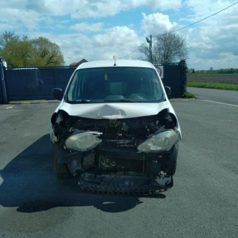 Vitre avant droit RENAULT KANGOO 2 Photo n°10