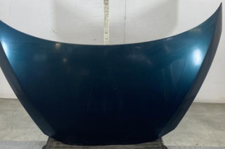 Capot RENAULT AVANTIME Photo n°1