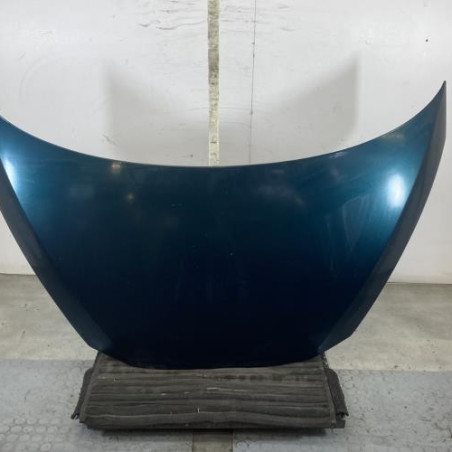 Capot RENAULT AVANTIME Photo n°1