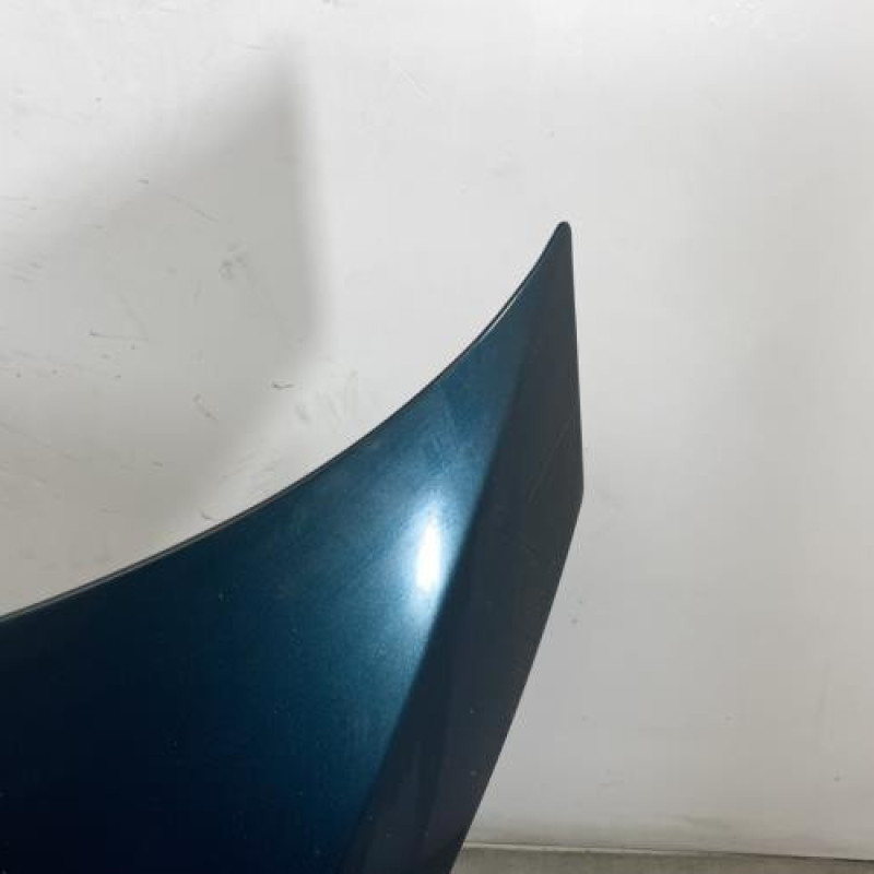 Capot RENAULT AVANTIME Photo n°3