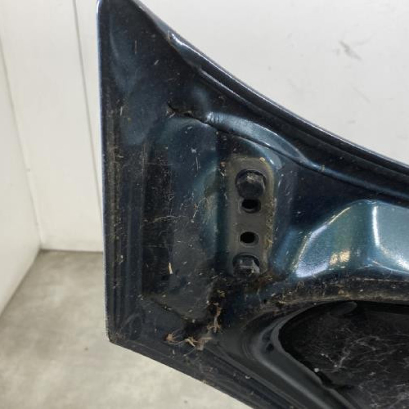 Capot RENAULT AVANTIME Photo n°6