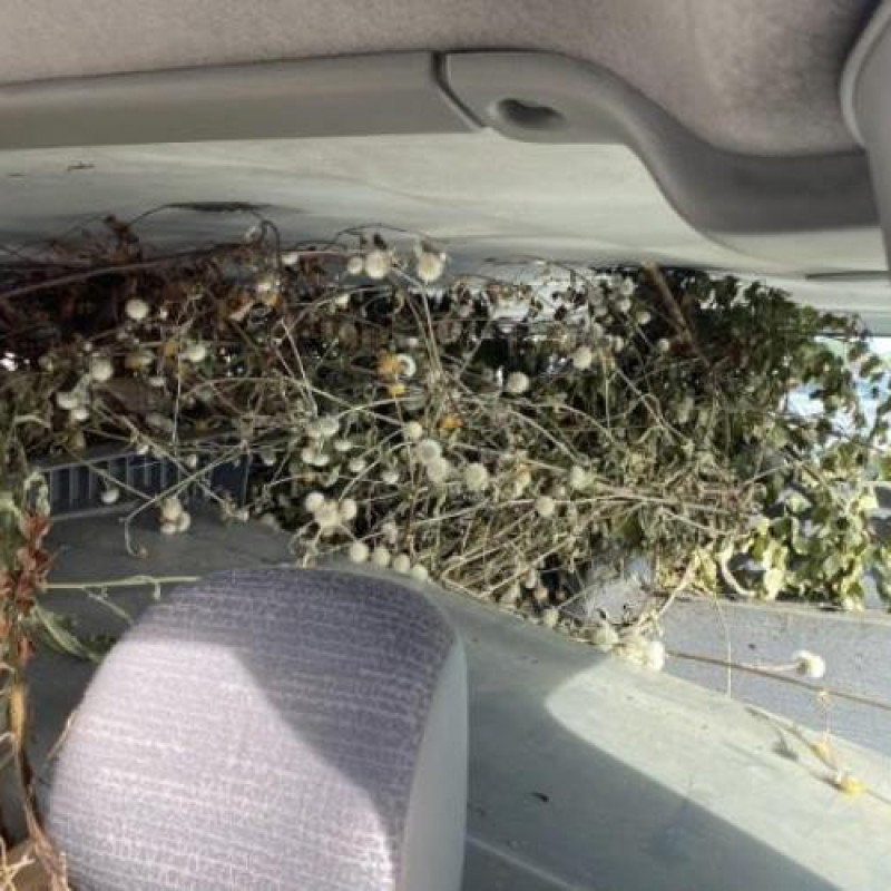 Pompe de direction RENAULT TRAFIC 2 Photo n°6